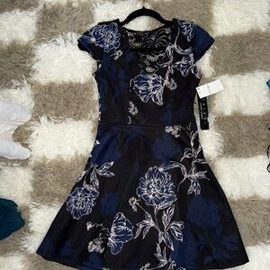 Trixxi Black & Blue Floral A-line Dress